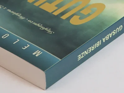 Amis Bible